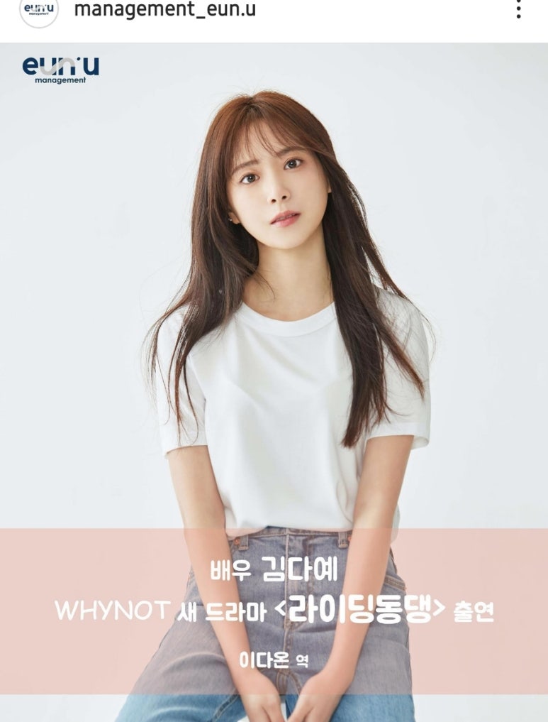 매니지먼트 은유 이미지
