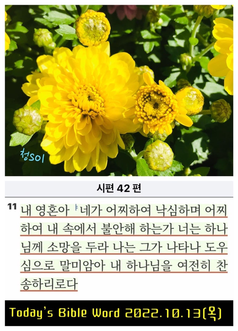 (주)동행 이미지