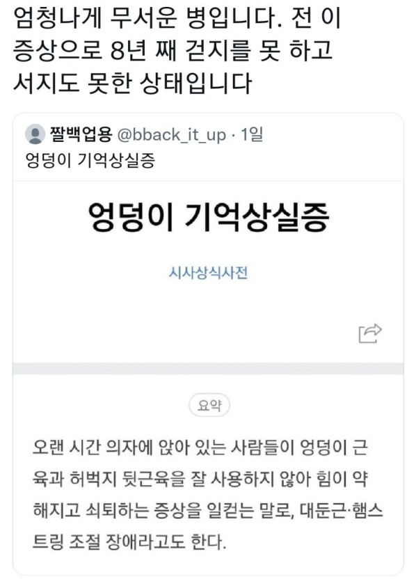 브엘라핏 이미지