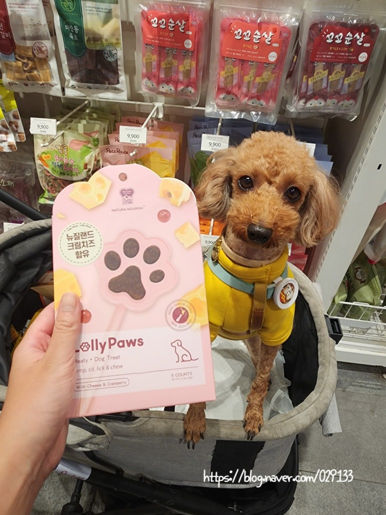 프리포우 이미지