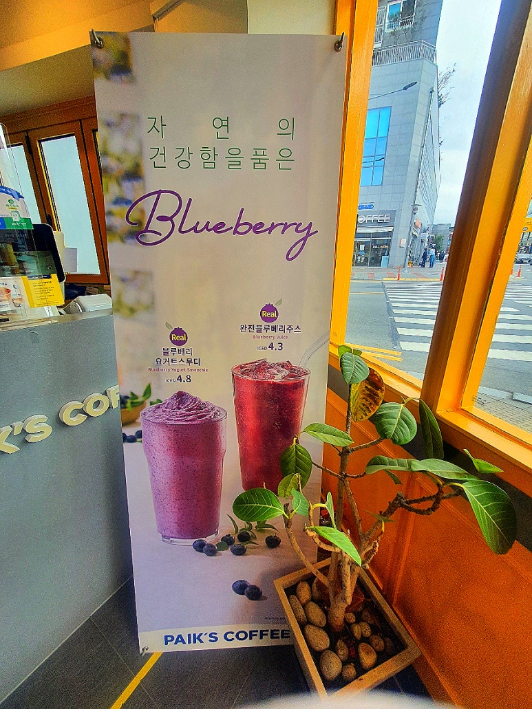 빽다방 정읍터미널점 이미지