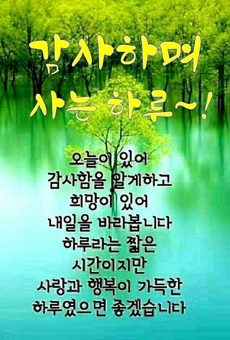 해나리 이미지