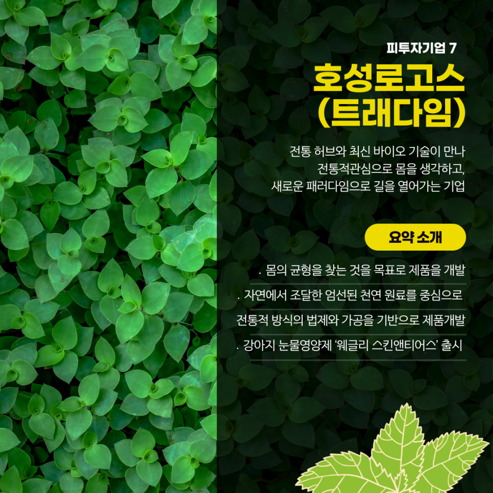 호성바이오 이미지