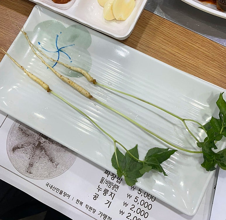 기운센장어 이미지