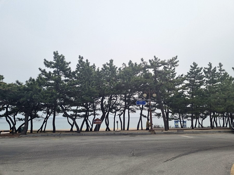 영덕대게집 이미지