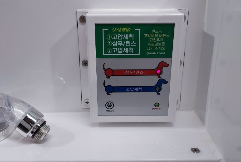 버블독스광주양산점 이미지