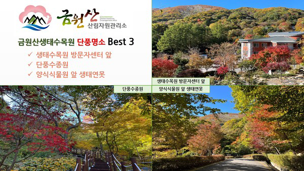 금원산생태수목원 이미지