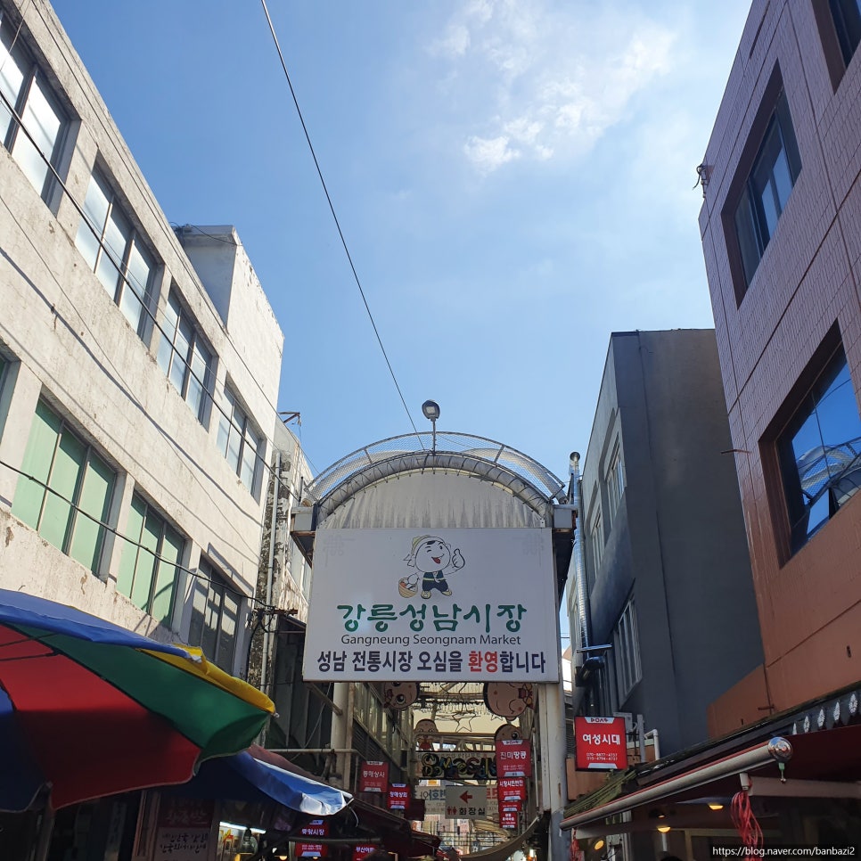 초원부침 이미지