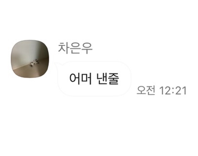 파이인더샵 이미지