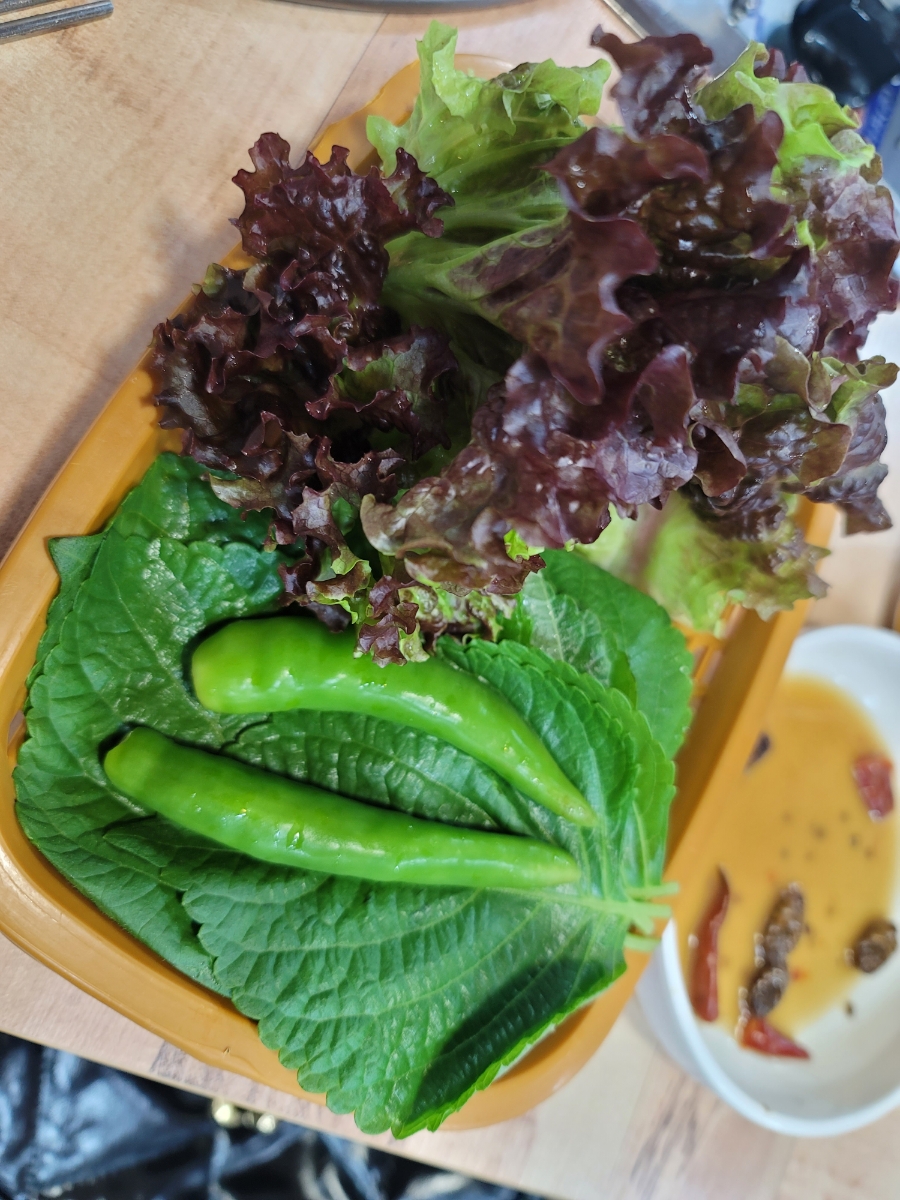울산산꼼장어 이미지