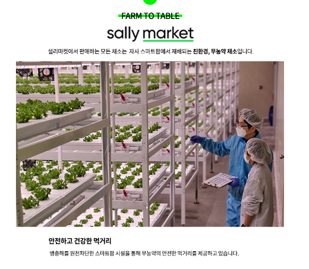 샐리마켓 이미지