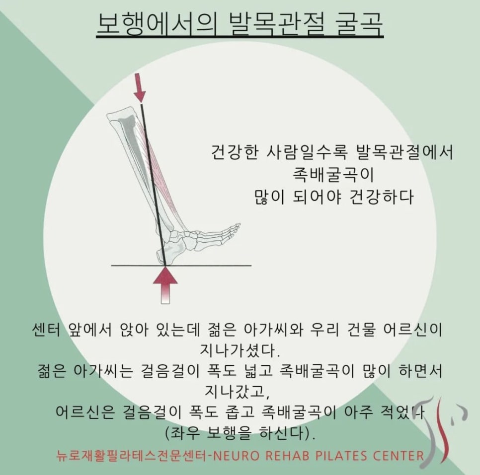 뉴로재활필라테스 이미지