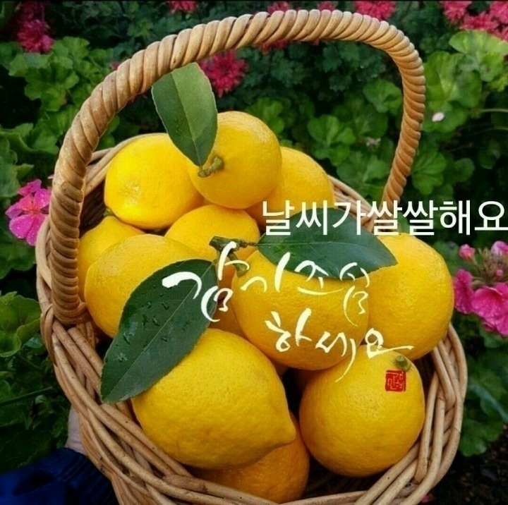 정훈공사 이미지