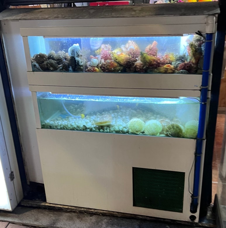 별밤해산물포차 이미지