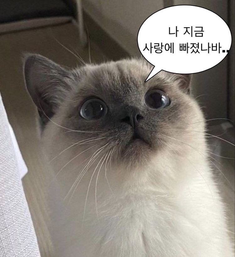 벵봉 이미지