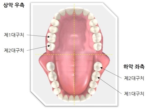 박앤박 이미지