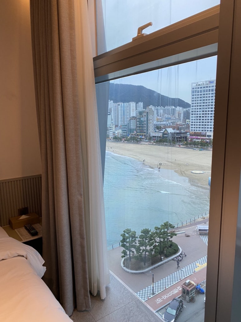 신세계여행사주 이미지