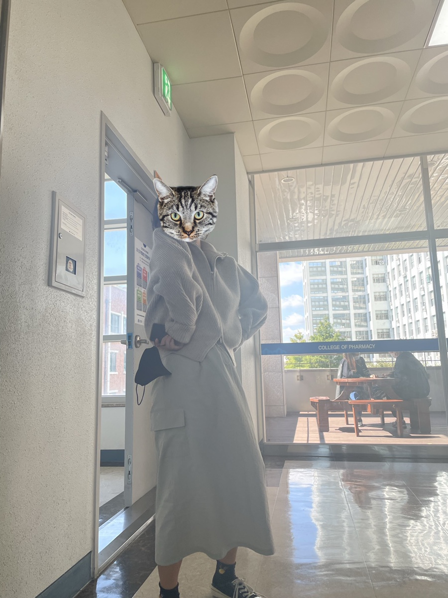 프랭크버거 조선대점 이미지