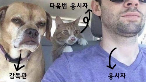 추암자동차학원 이미지