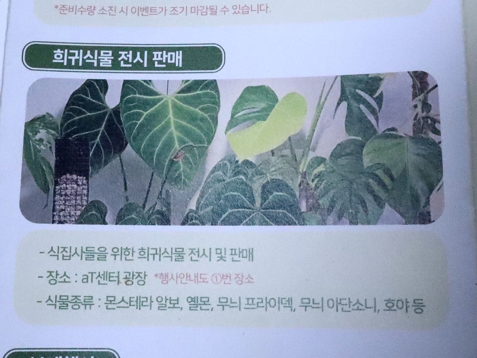 원플라워투어 이미지