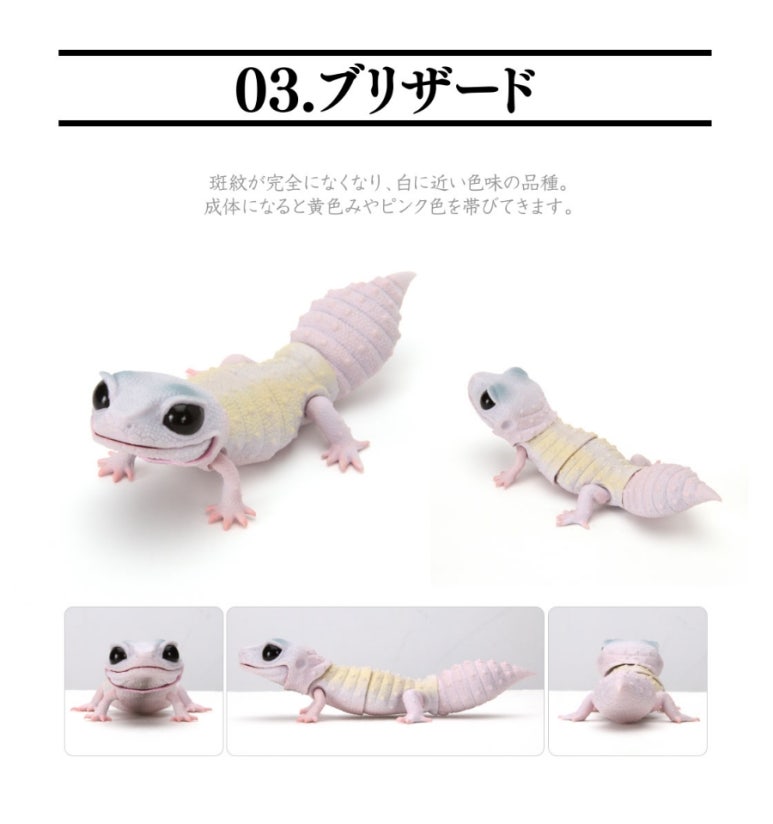 레쁘띠 이미지