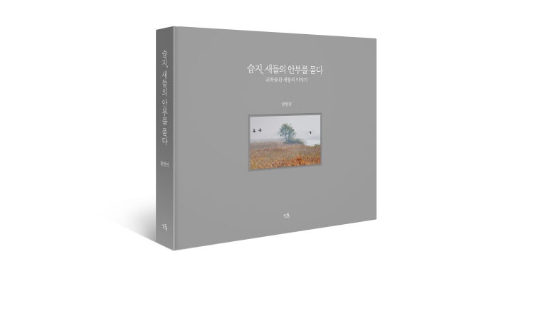 새들기획 이미지