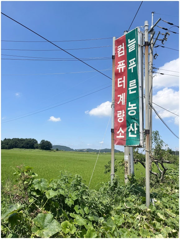 늘푸른농산 이미지