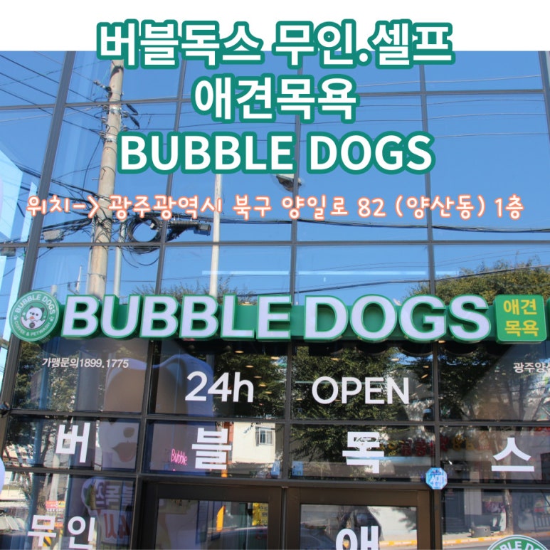버블독스광주양산점 이미지