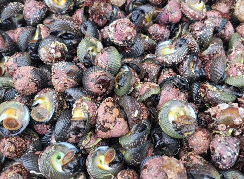 죽에 반하다 이미지