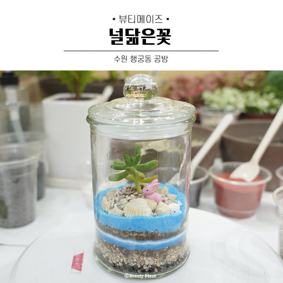 널;닮은꽃 이미지