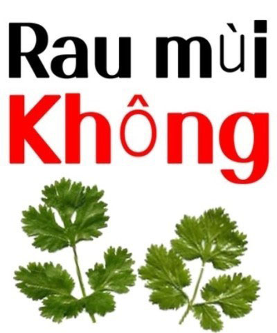 카시강 이미지