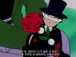 오월의햇살 이미지
