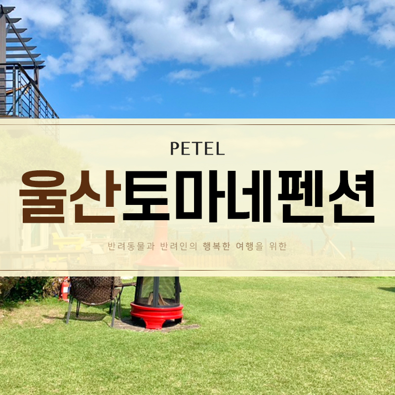 토마네 이미지