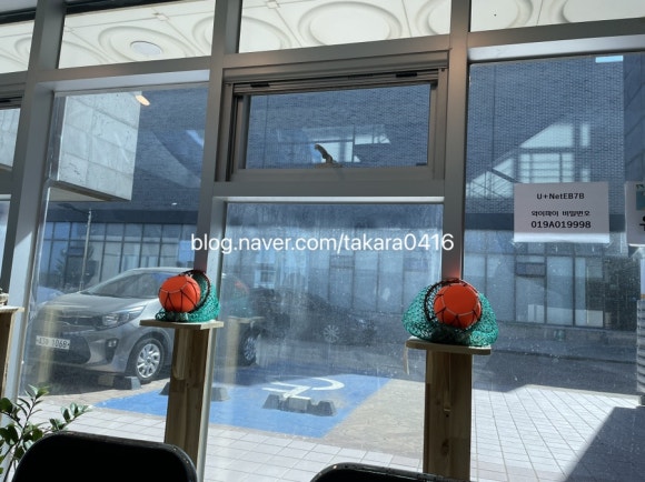 보말삼춘 이미지