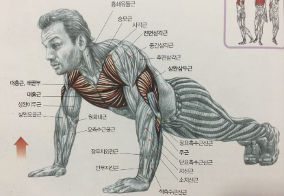 노블레스짐 이미지