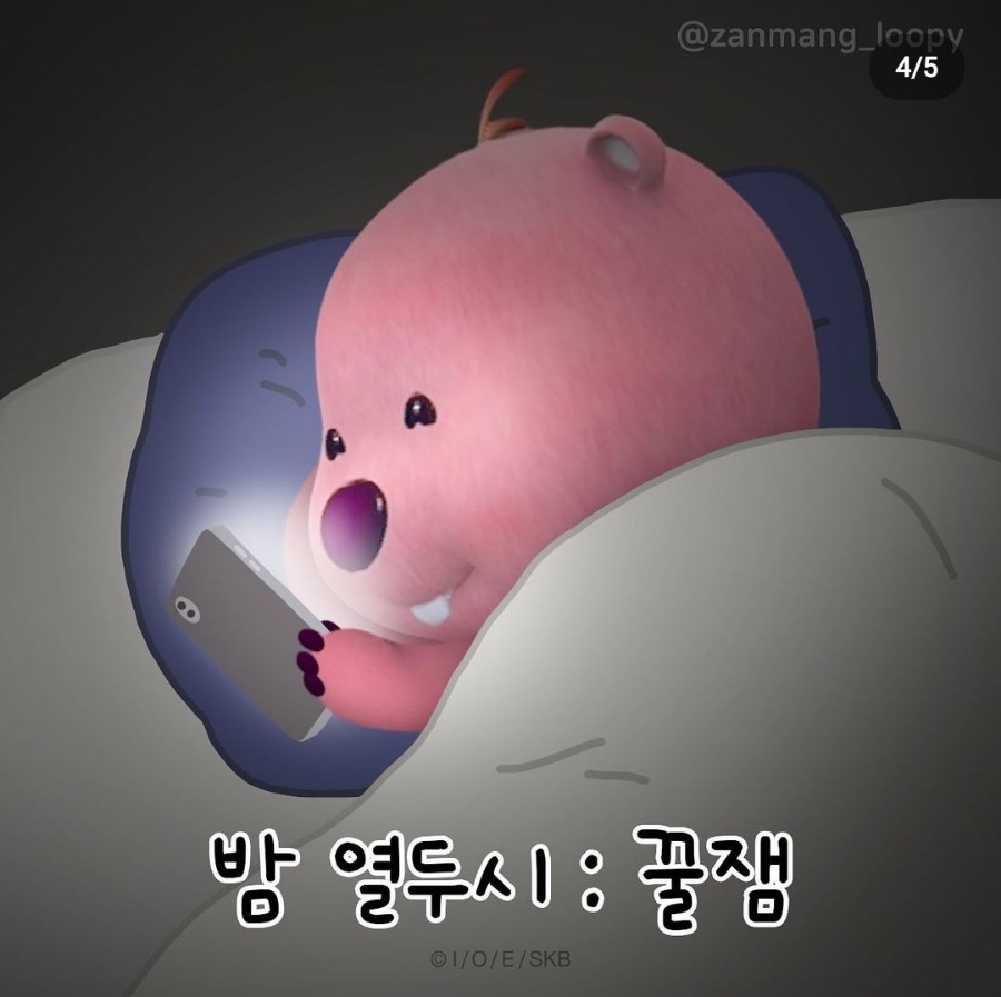 차우마 이미지