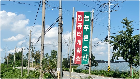 늘푸른농산 이미지