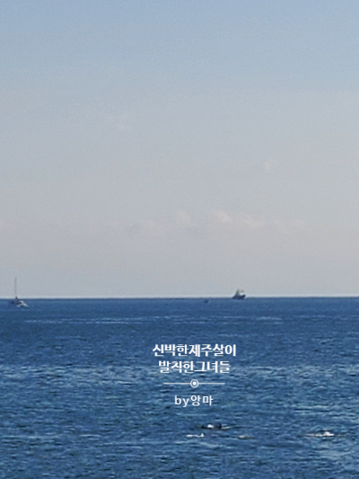 제주마당 이미지
