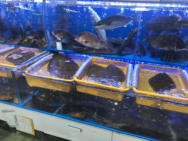 코코로망스 이미지