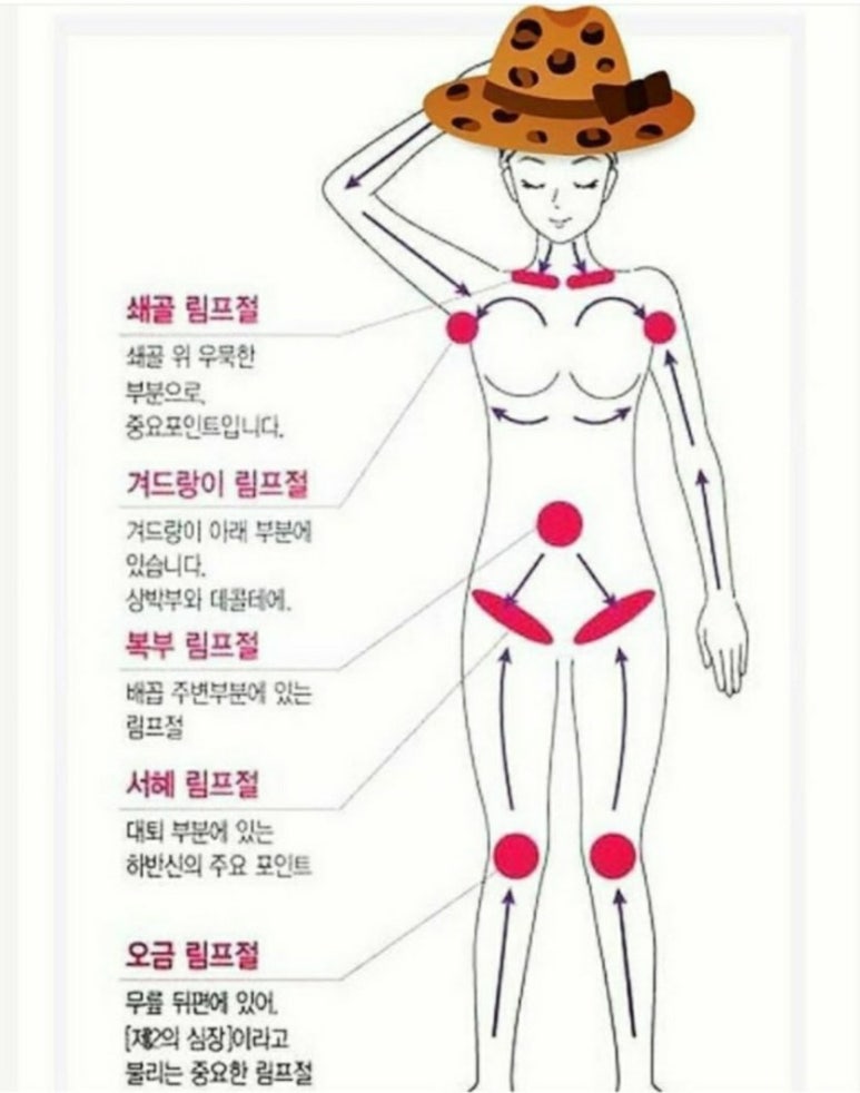 헤어큐 이미지