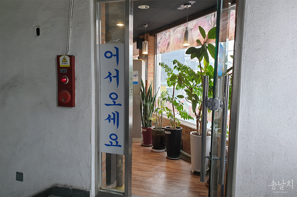 대교양고기 이미지