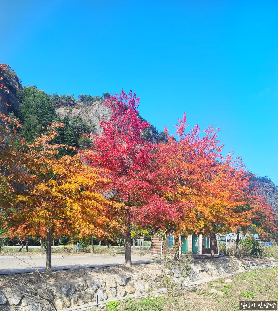 삼척농수산 이미지