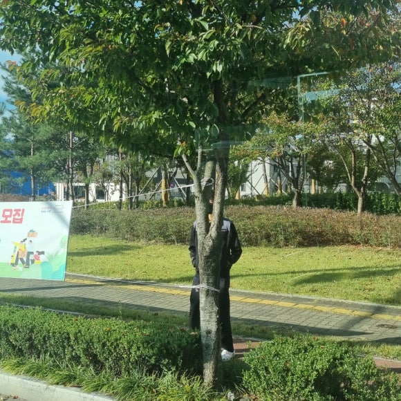 진국본가진주혁신도시점 이미지