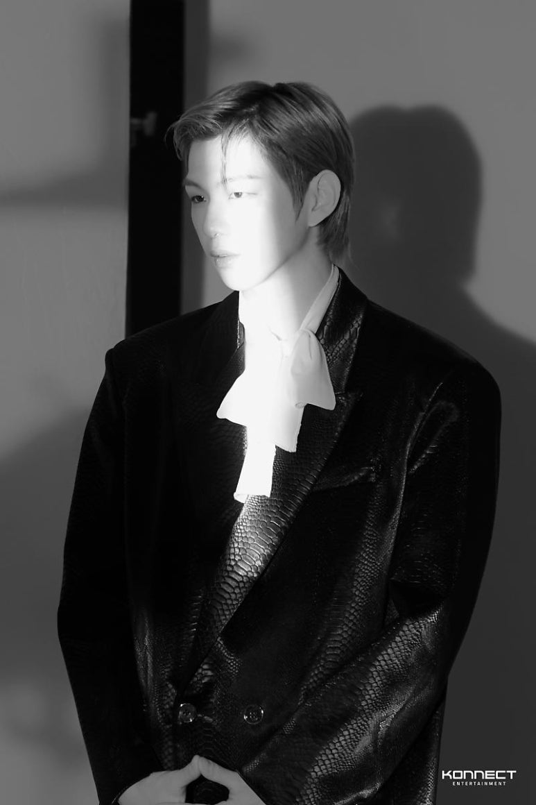 보이컷 이미지