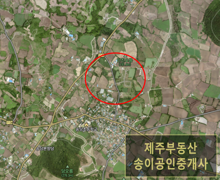 송림다방 이미지