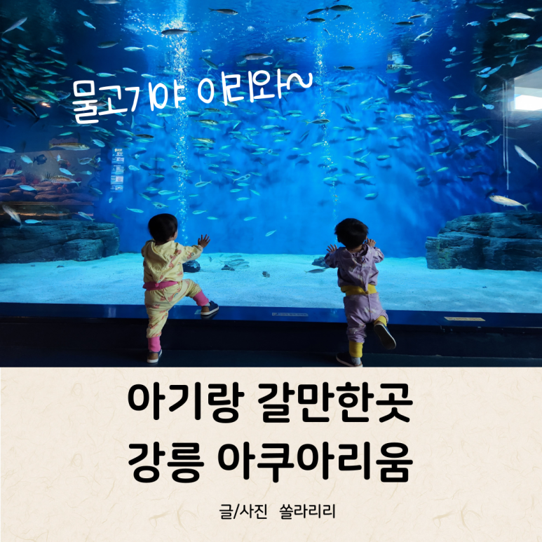 (주)경포아쿠아리움 이미지