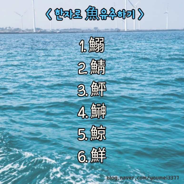 고등어청 이미지