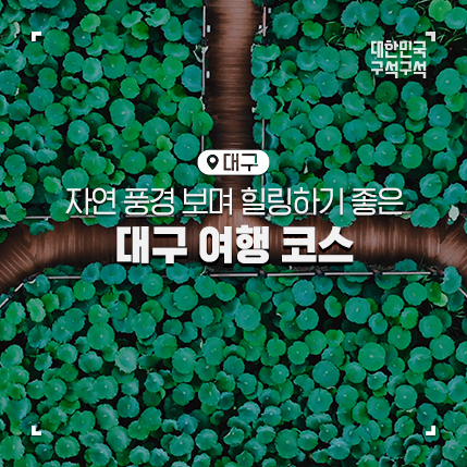 주식회사 오고투어 이미지