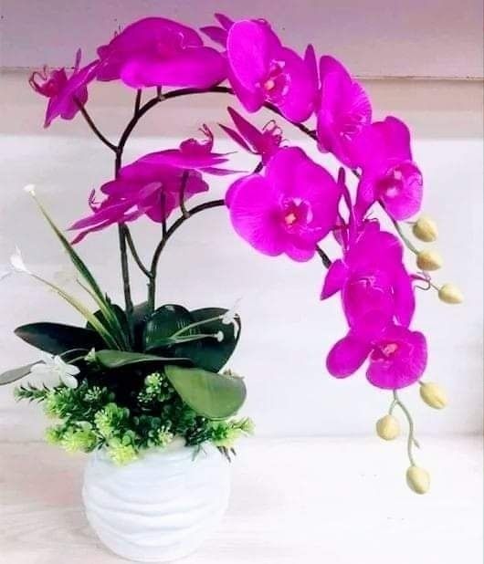다름법무사법인 이미지