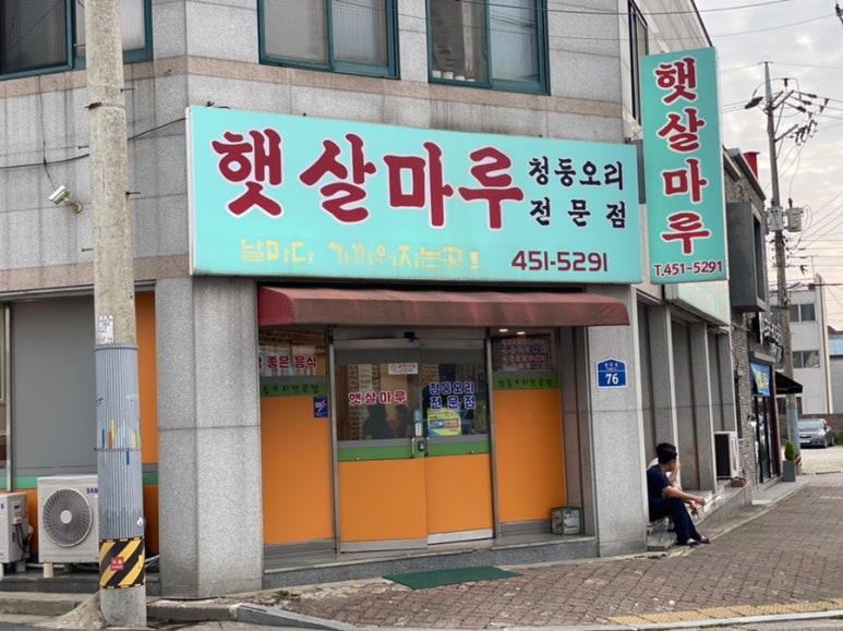 햇살마루청둥오리 이미지